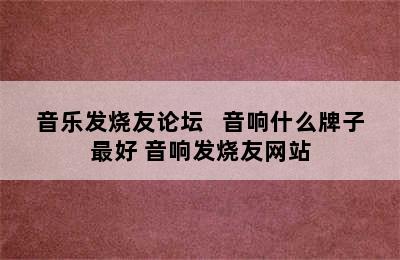 音乐发烧友论坛   音响什么牌子最好 音响发烧友网站